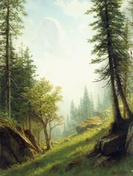 Dans les Alpes bernoises