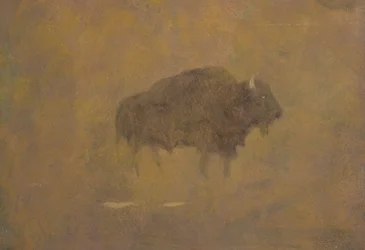 Buffle dans une tempête de sable