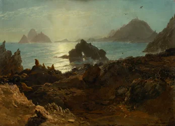 Îles Farallon, océan Pacifique, Californie