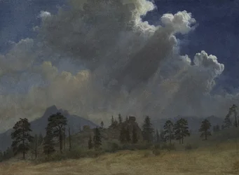 Sapin et nuages d