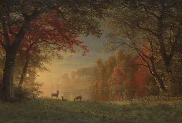 Coucher de soleil indien : cerfs près d