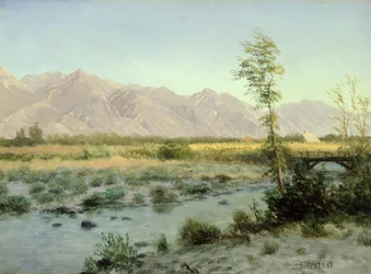 Paysage de prairie