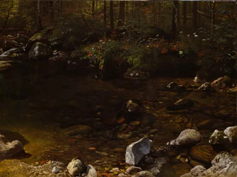 Piscine ombragée, Montagnes Blanches, New Hampshire, vers 1869