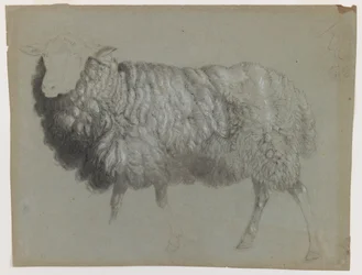 Étude d