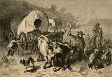 Émigration vers le pays de l