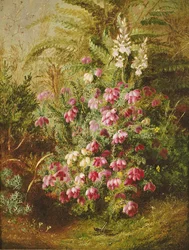 Sauterelle et bruyère