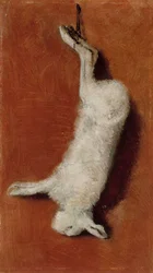 Lièvre mort, étude