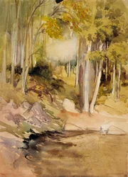 Dans les bois