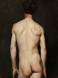 Modèle masculin, étude d