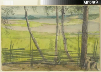 Paysage d