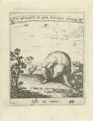 Das échappant aux loups