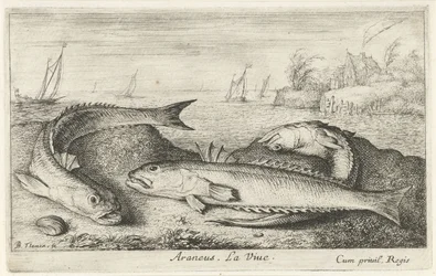 Trois poissons sur la plage
