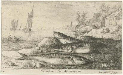 Trois maquereaux sur la plage (Scomber. Le Maquereau.) (Vissen en andere zeedieren - zoutwater eerste reeks, Diverses Especes de Poissons de mer)