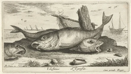 Trois églefins sur la plage (Poissons de mer)
