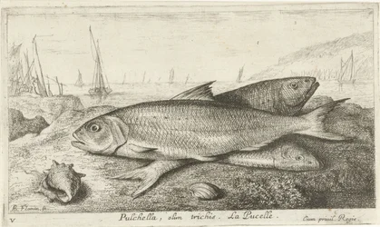 Trois poissons sur la plage