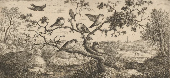 Le bouvreuil : Livre d