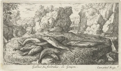 Goujons sur une rive (Poissons et autres animaux marins - eau douce deuxième série)