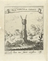 Paysage avec souche d