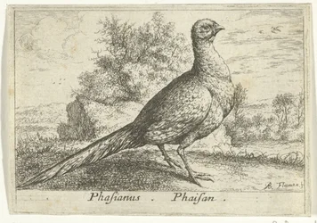 Paysage avec faisan