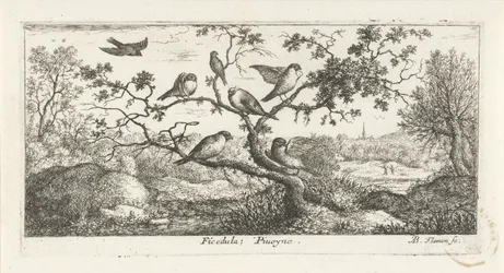 Paysage avec bécassines