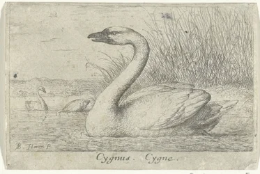 Paysage avec cygne
