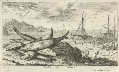 Sardines sur la plage