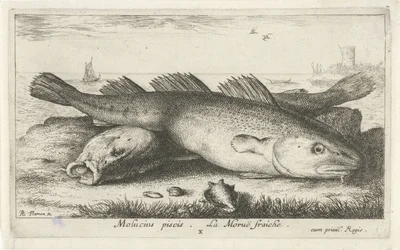 Deux morues sur la plage (Poissons de mer)