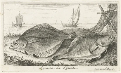 Deux poissons sur la plage