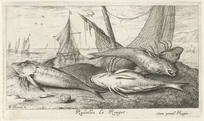 Quatre rougets sur la plage (Rubellio Le Rouget.) (Vissen en andere zeedieren - zoutwater tweede reeks, Poissons de mer)