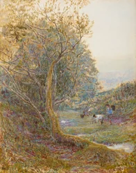 Un chemin du Devonshire