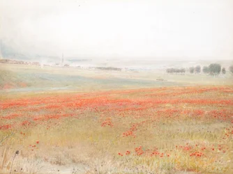 Les Ivraies. Coquelicots dans le blé. Salisbury