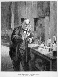Louis Pasteur dans son laboratoire d