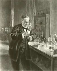Dr Louis Pasteur dans son laboratoire (gravure)