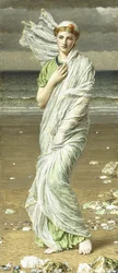 Coquillages marins, 1875