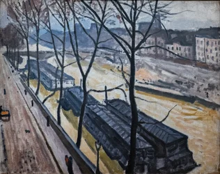 Paris en hiver. Quai Bourbon