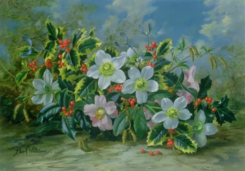 Roses de Noël et houx