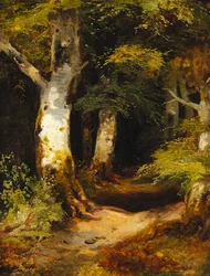 Route forestière