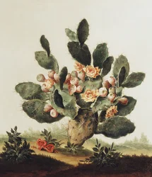 Nature morte d
