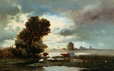 Pâturage au bord de la rivière