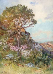Près de Calatafimi