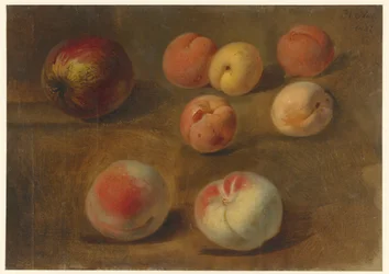 Nature morte avec pomme, pêches et abricots