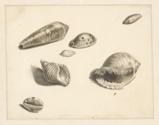 Feuille d