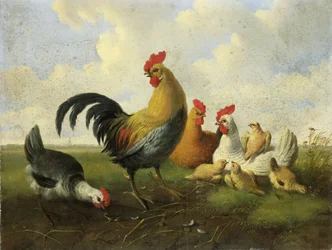 Un coq avec des poules et des poussins