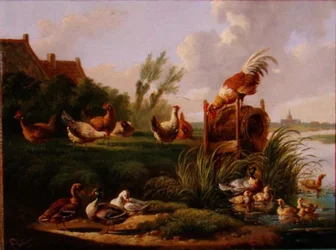 Canards et volailles sur une rive