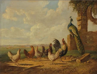Poules et paon dans un paysage