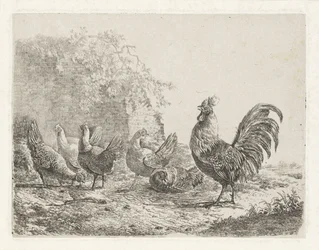 Coq avec cinq poules