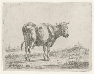 Vache debout