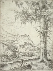 Le grand épicéa, c.1520