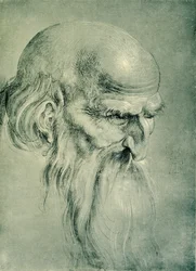 Tête d