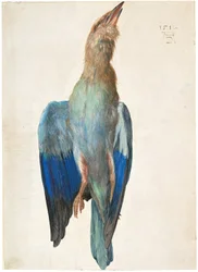 Allemand autrichien : Tote Blauracke Dead Bluebird